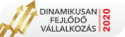 Dinamikusan fejlődő vállalkozás Dinamikusan fejlődő vállalkozás